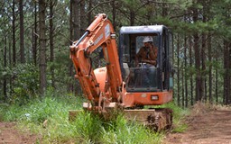 Ngăn chặn vụ san ủi đất rừng cạnh đèo Prenn